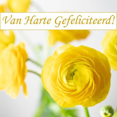 Gefeliciteerd gele bloemen