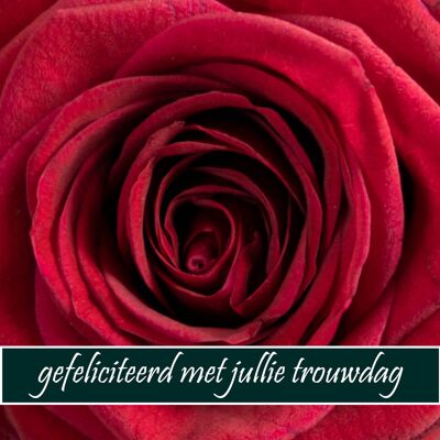 Huwelijk rode roos