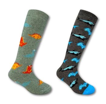 Lot de 2 paires de chaussettes Welly dinosaures et requins pour enfants de 7 à 10 ans 2