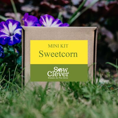 Sweetcorn Mini Kit