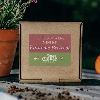 Little Sowers Rainbow Beetroot Mini Kit