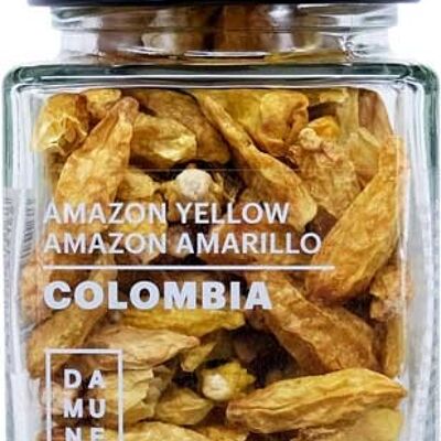 Chili Amazon Jaune Colombie - 35g