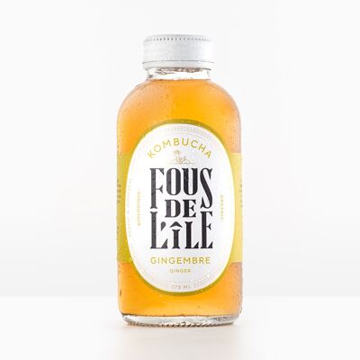 zenzero kombucha