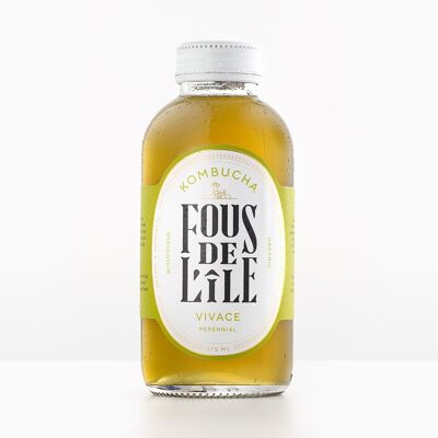 Fous de L'île Kombucha