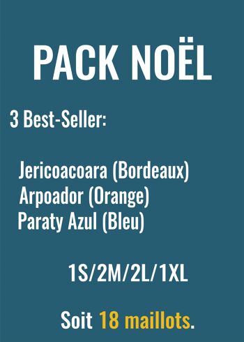 Pack Noël 1