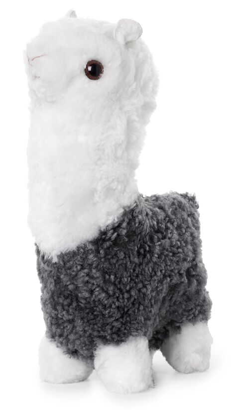 Alpaca curly sheepskin_Grey/White_Gift