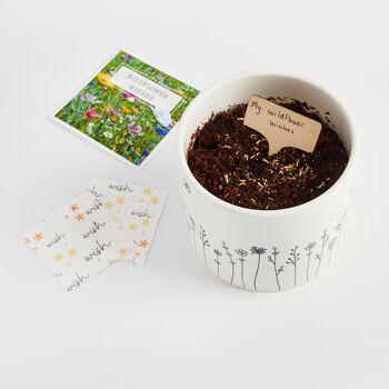 Souhaits magiques de fleurs sauvages - Cadeau écologique cultivable en papier de graines 5