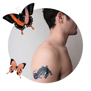 Tatuajes temporales - Amigos salvajes 4