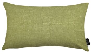 Harmony Contrast Vert sauge et Oeuf de canard Oreiller uni Remplissage de polyester 50*30 cm 2