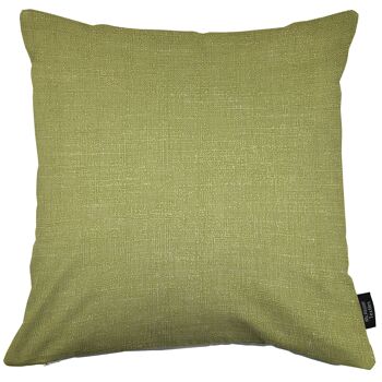 Coussins unis Harmony Contrast Vert Sauge et Oeuf de Canard Remplissage Polyester 49*49cm 2