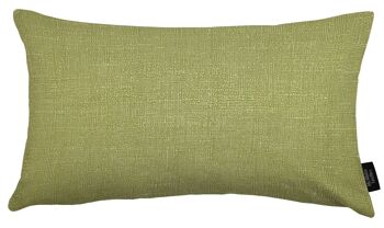 Coussins unis Harmony Contrast Vert Sauge et Oeuf de Canard Remplissage Polyester 49*49cm 4