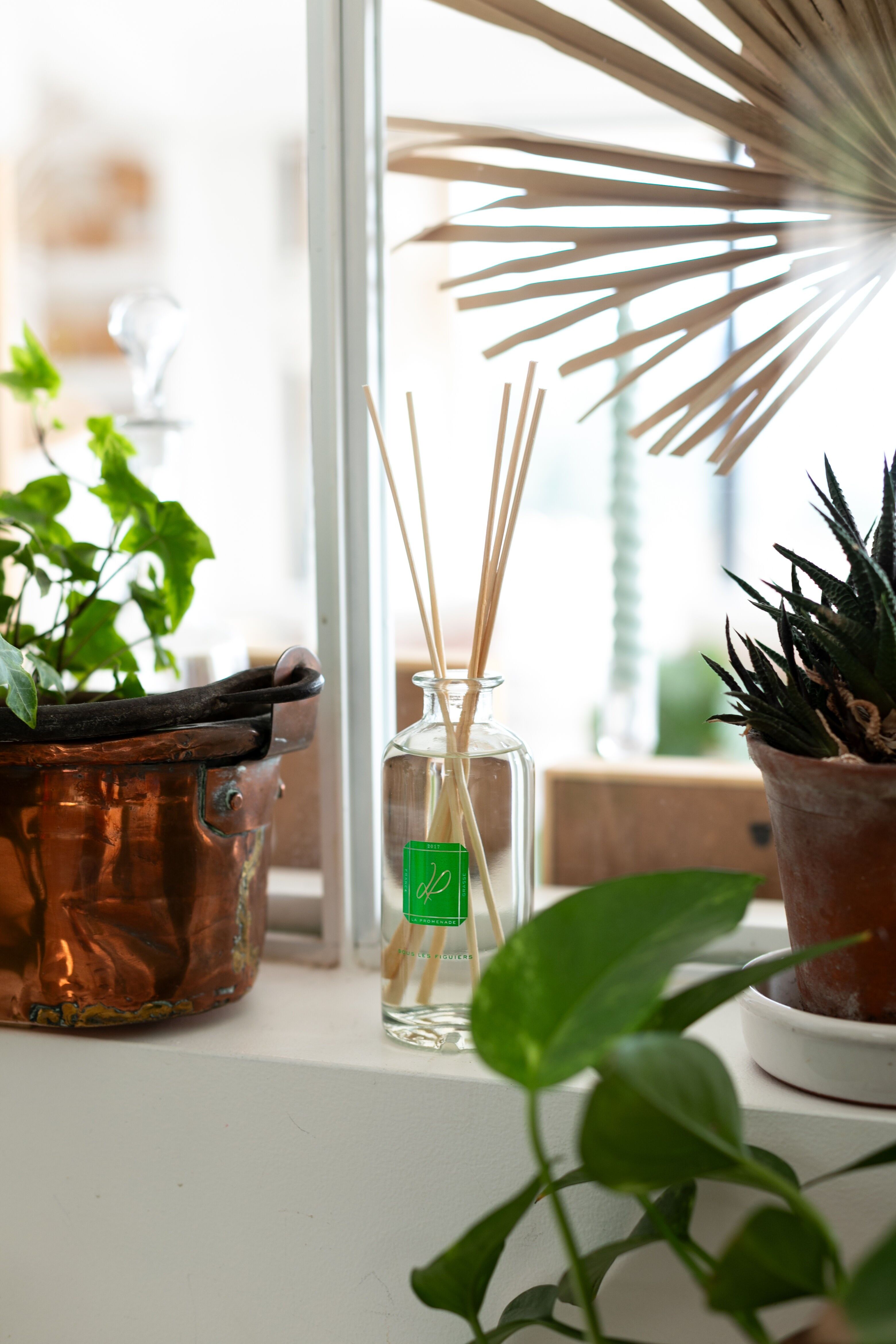Indoor Diffuser - Under the Fig Trees - 200mL
