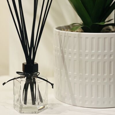 Reed Diffusers Alien Invasion