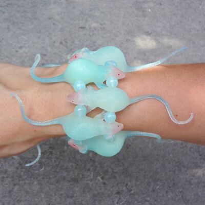 bracelet rat blue