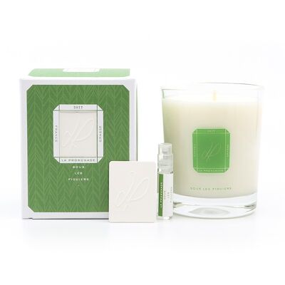 Scented candle - Under the fig trees - in vegetable wax