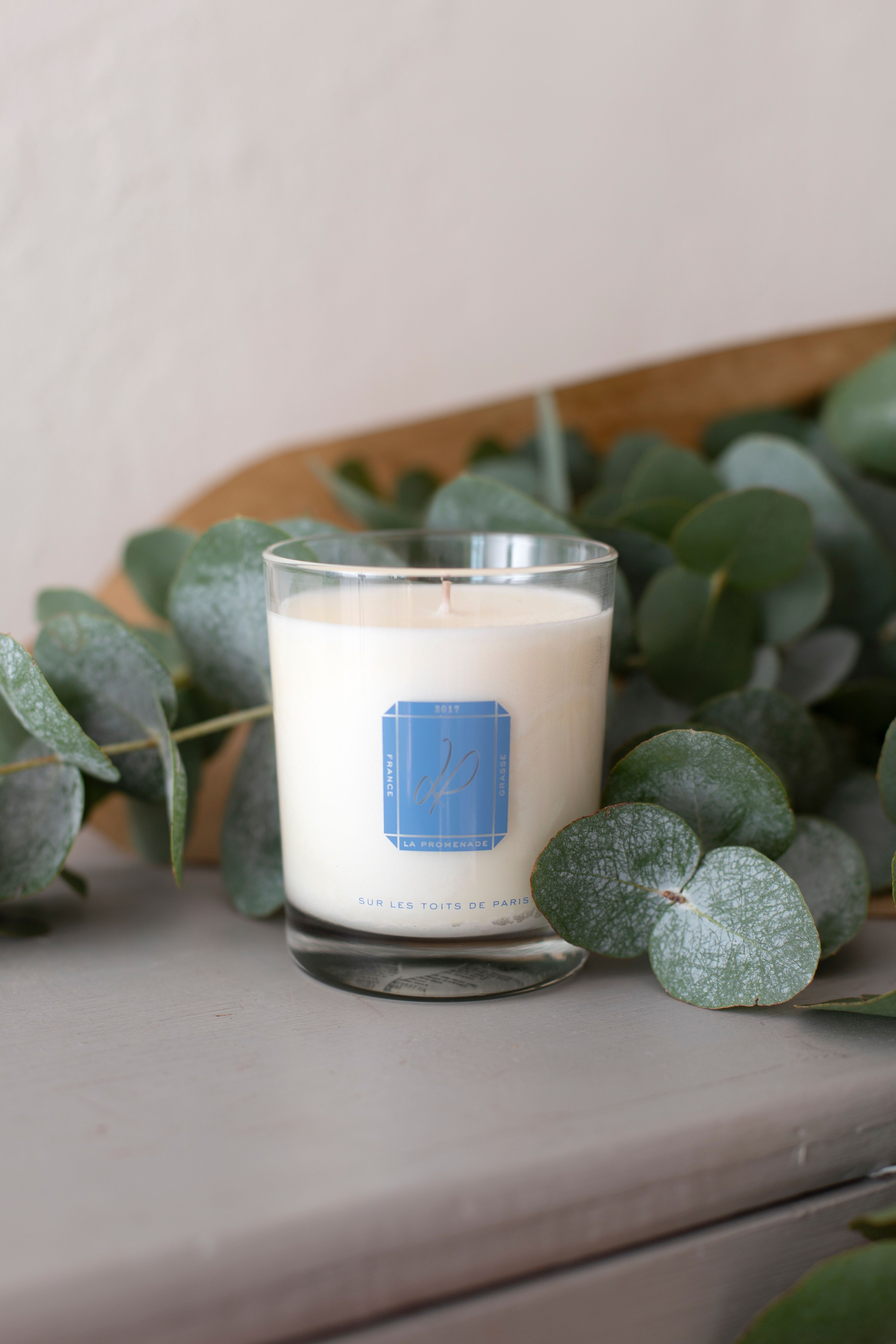 Scented candle - On the rooftops of Paris (100% vegetable wax)