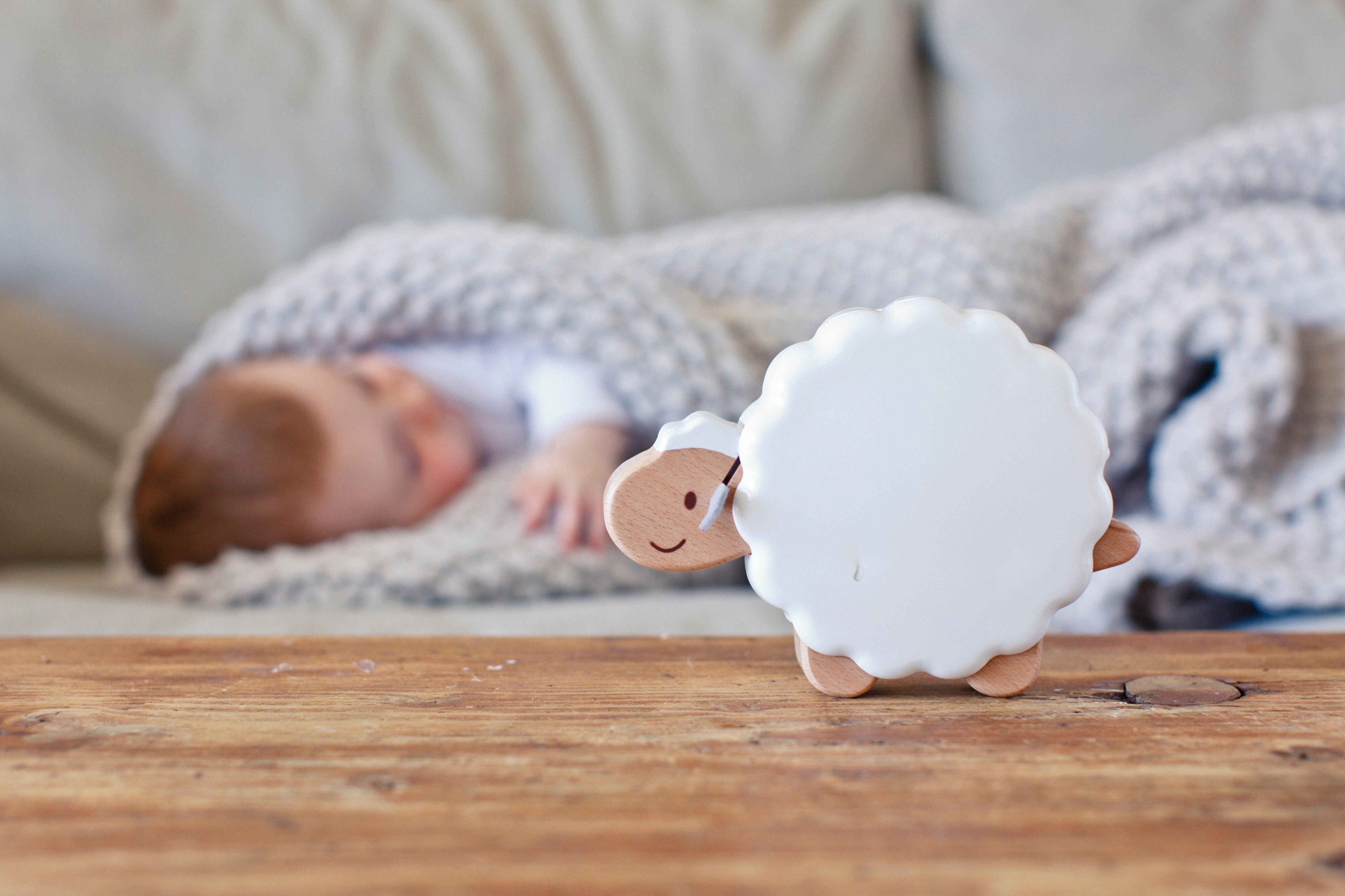 Sheep musical night light