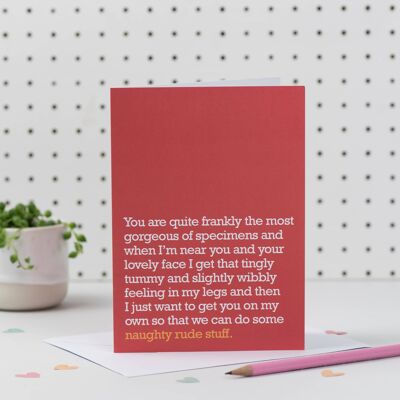 Naughty Rude Stuff : Cheeky Card For Partner