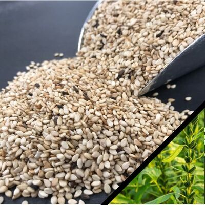 Semillas de sésamo a granel - certificadas orgánicas y - sin gluten
