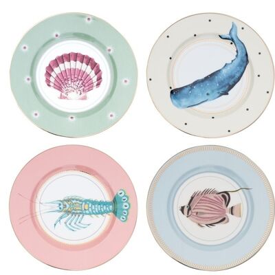 YE - Coffret 4 assiettes 20 cm  Animaux marins