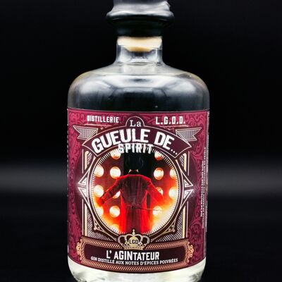 La Gueule de... SPIRIT - 
L' aGINtateur