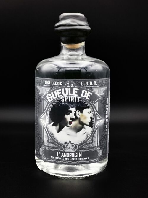 La Gueule de... SPIRIT - 
L'androGIN