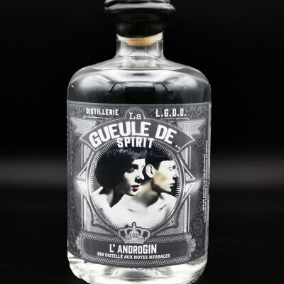 La Gueule de... SPIRIT - 
L'androGIN