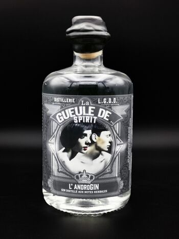 La Gueule de... SPIRIT - 
L'androGIN 1