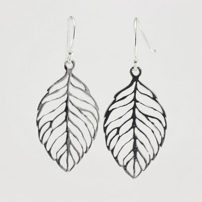 SWE105 Sterling Silver Earrings