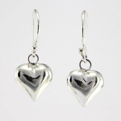 SWE115 Sterling Silver Earrings