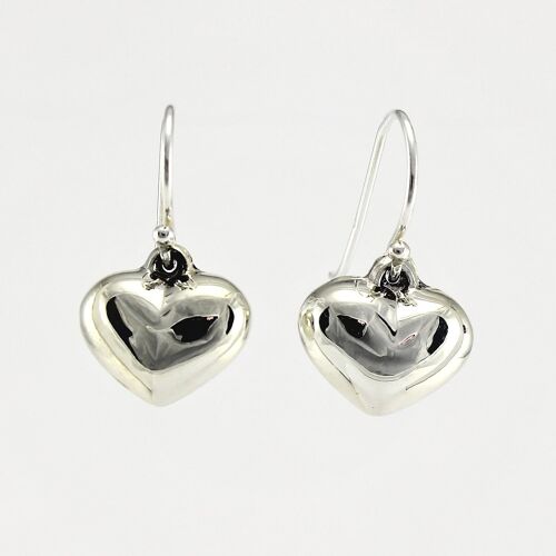 SWE134 Sterling Silver Earrings