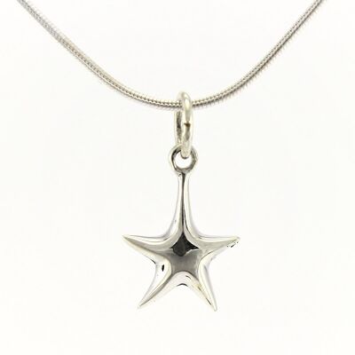 WSWN131 Sterling Silver Pendant Necklace