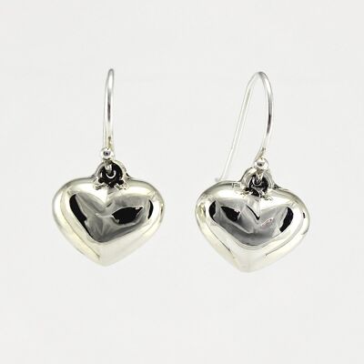 WSWE134 Sterling Silver Earrings