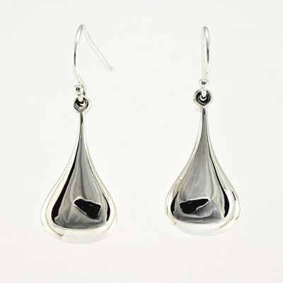 WSWE136 Sterling Silver Earrings