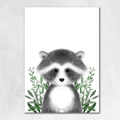 Raccoon flowers and white background