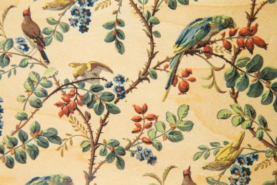 Wooden postcard - bnf parrot wallpapers