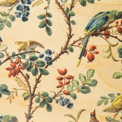 Cartolina di legno - sfondi pappagallo bnf