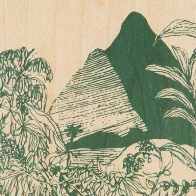 Cartolina di legno - paesaggi della giungla