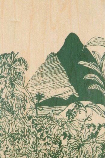 Carte postale en bois - landscapes jungle