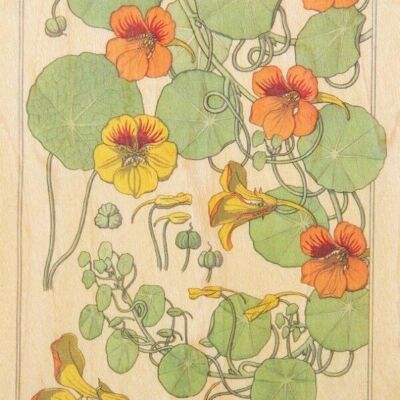 Carte postale en bois - bnf fleurs capucine