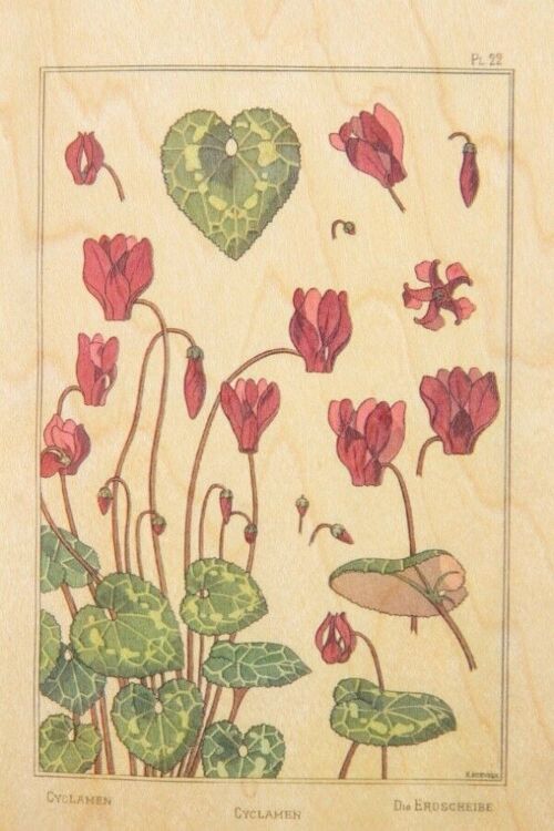 Carte postale en bois - bnf fleurs cyclamen