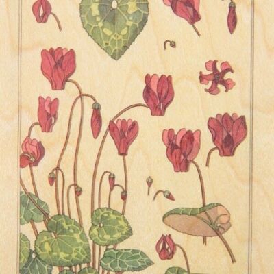 Cartolina in legno - fiori di ciclamino bnf