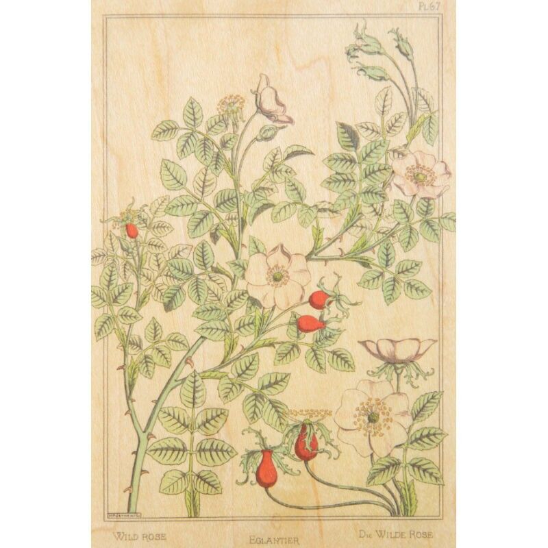 Wooden postcard - bnf rosehip flowers