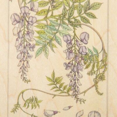 Carte postale en bois - bnf fleurs glycine