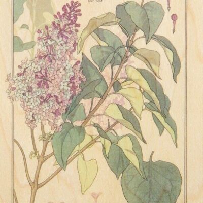 Carte postale en bois - bnf fleurs lilas