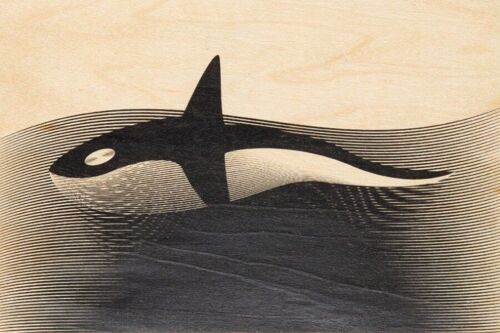 Carte postale en bois - animals orca