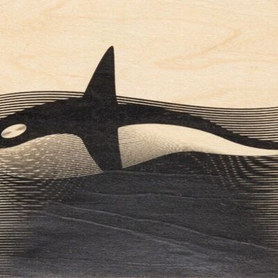 Cartolina in legno - animali orca