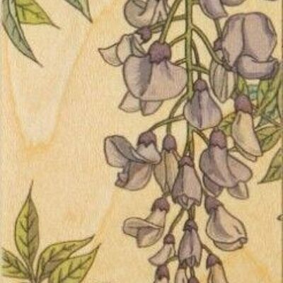 Wooden bookmarks - wisteria flowers