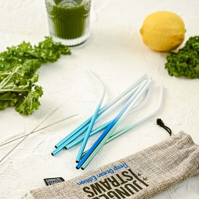Stainless Steel Straws - Reusable Straw Set (Blue)