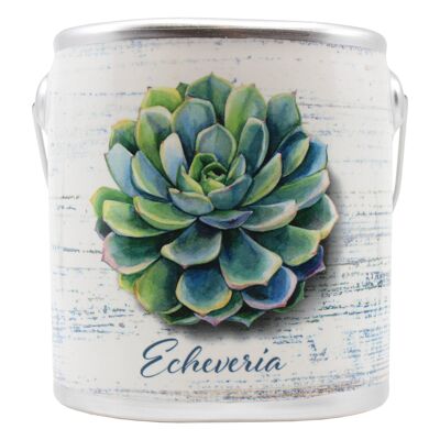 20Oz Farm Fresh Candle (Succulents)- Echeveria/ Cashmere